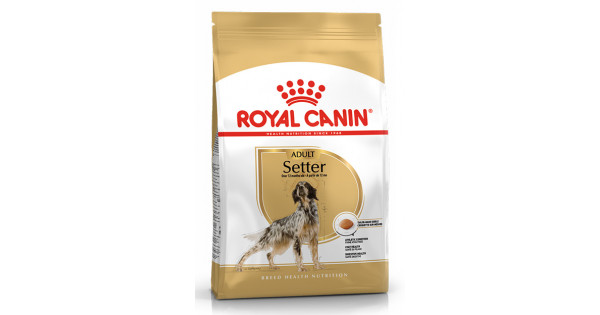 Royal shop canin setter